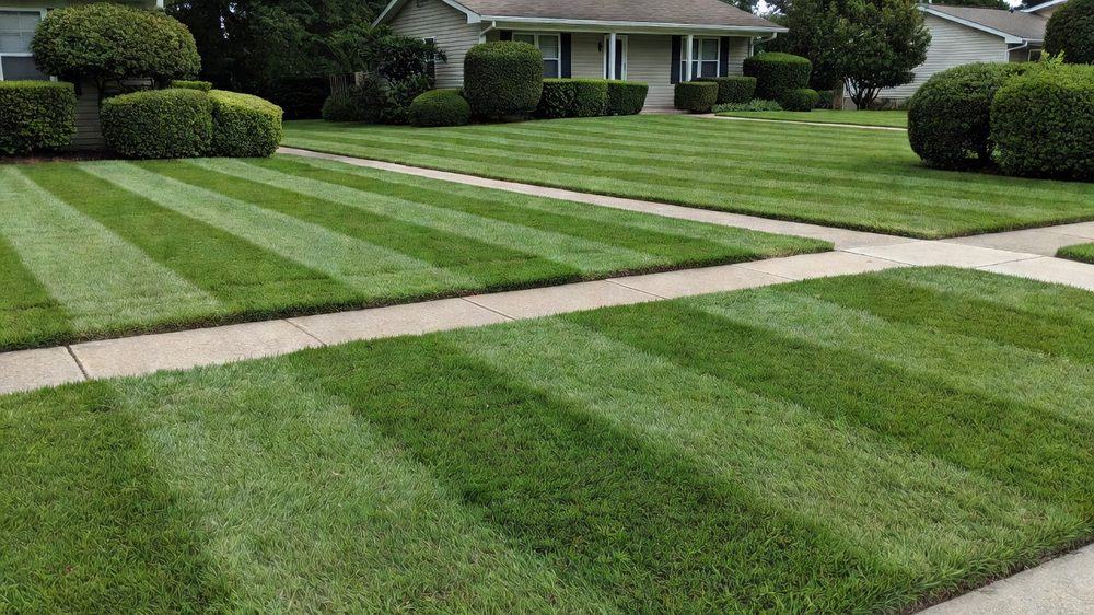 Front yard freshly mowed with stripes, sharply edged sidewalk and trimmed bushes